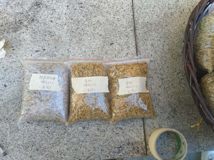 “超声波处理对稻谷表面微生物的影响”发表论文啦!!