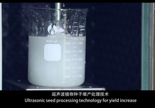 金稻植物种子增产处理机宣传片